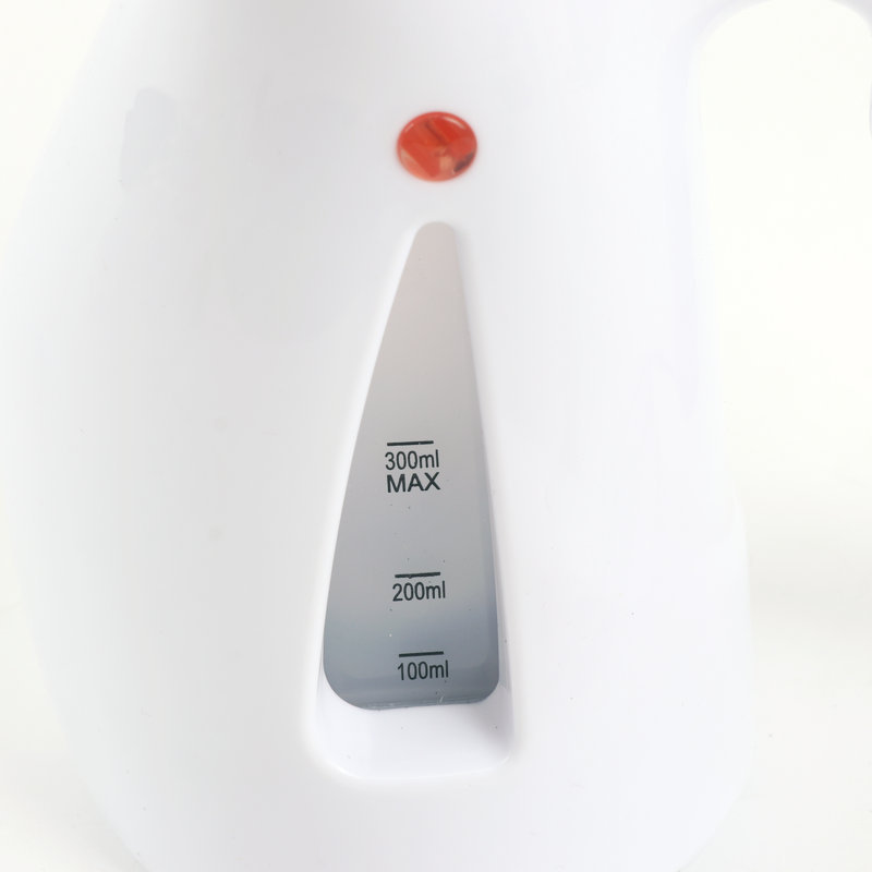 Handheld steam iron, household portable iron, ironing machine, steam brush, cross-border manufacturer details Picture