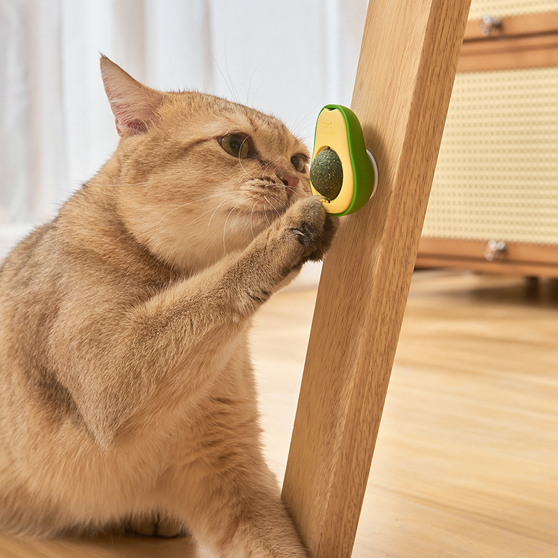 宠物用品猫玩具牛油果猫薄荷球猫咪玩具旋转虫瘿果猫咪薄荷球零食