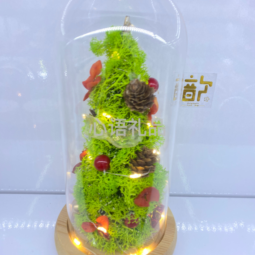 永生花，带灯玻璃罩，圣诞节礼物，节日礼物