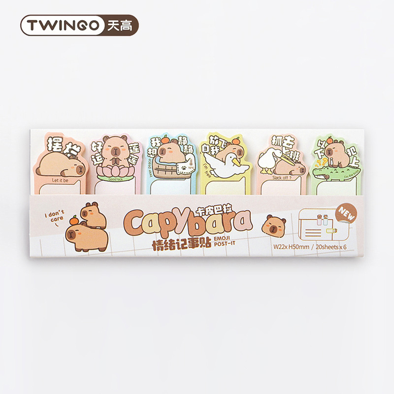 文具贴纸实物图