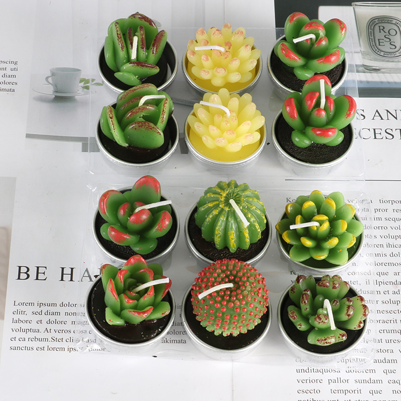 跨境现代艺术石蜡芯无烟蜡烛表白仿真多肉植物石蜡半手工蜡烛组合