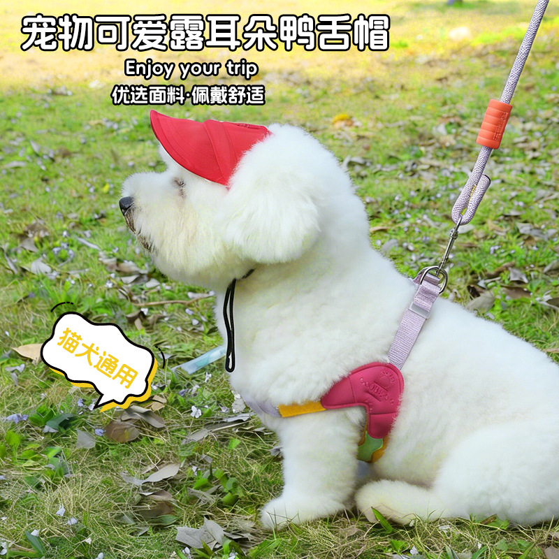 宠物可爱露耳朵鸭舌帽白色小狗宠物发夹伊丽莎白头套发卡饰品BB夹衣服