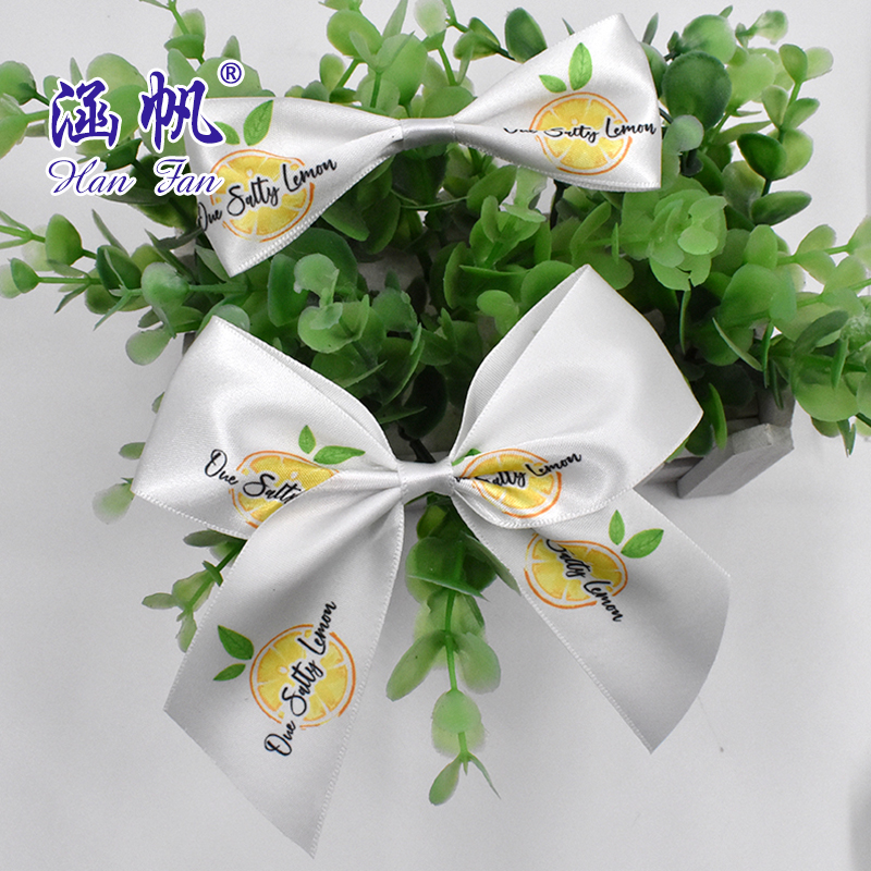 白色丝带蝴蝶结柠檬图案装饰品手工发饰配饰植物背景创意摆件