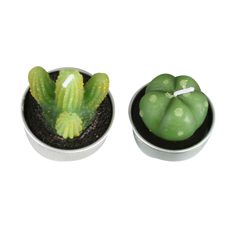 A new cross-border simulation of succulent plant candles, rose candles, 44 product combinations, and special-shaped paraffin candles Application Scenario