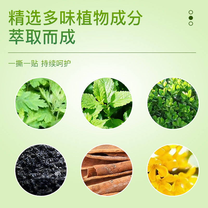 Mugwort knee Patch, English mugwort knee patch, Fever mugwort patch, joint Mugwort leaf patch, Mugwort patch details Picture