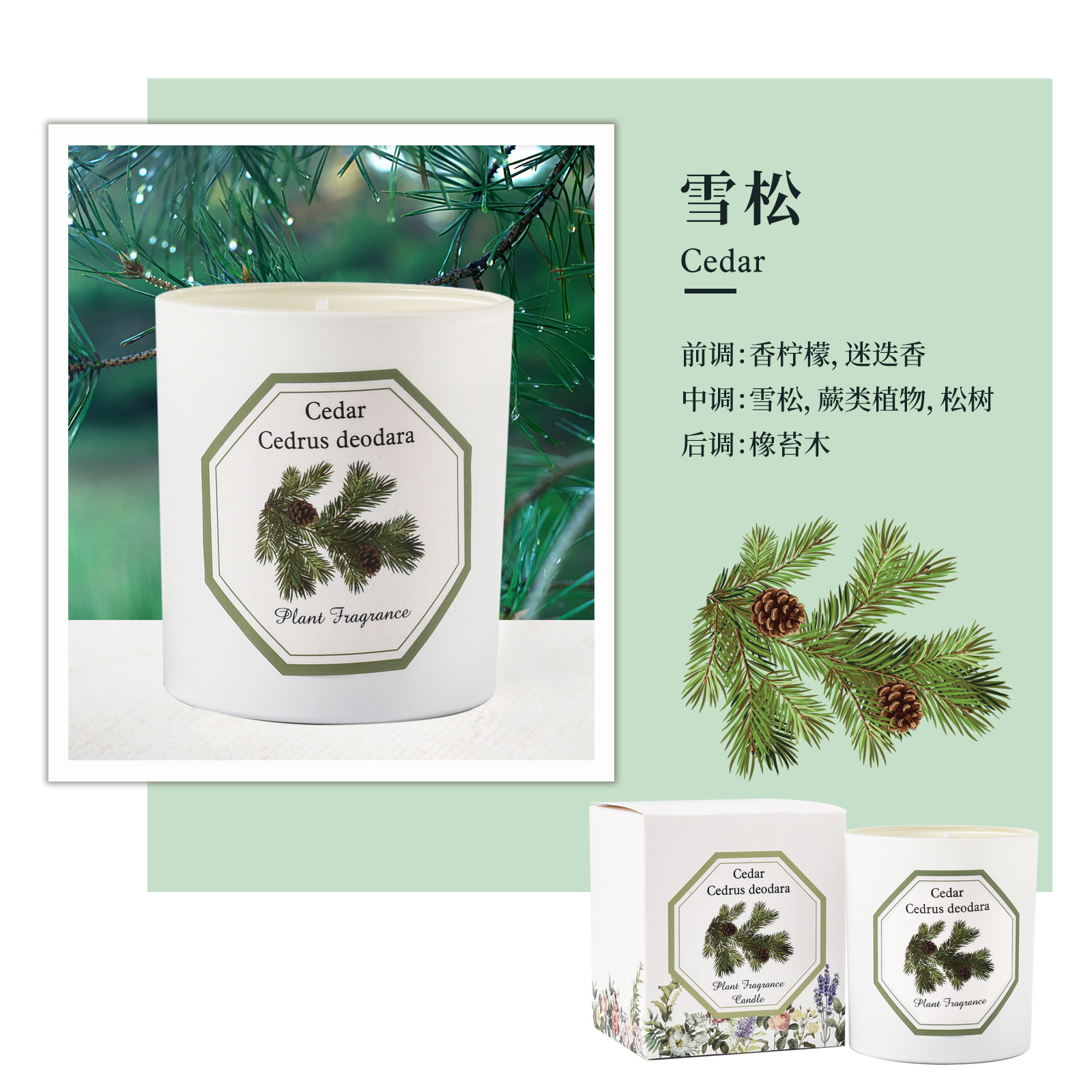 香薰蜡烛/香薰/扩香瓶/香薰花/无火香薰白底实物图