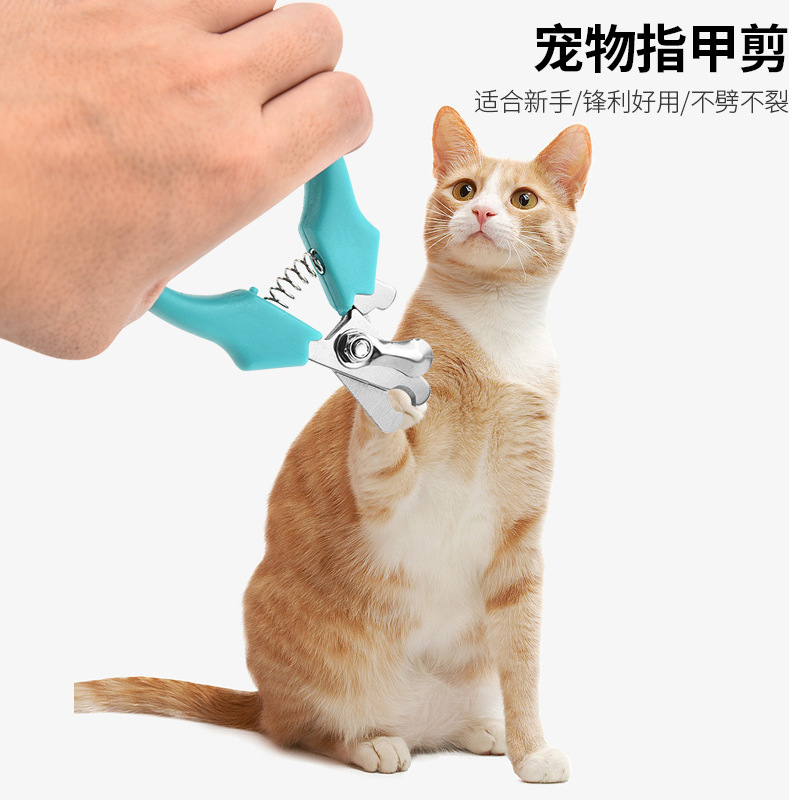 宠物猫指甲剪套装指甲刀指甲钳安全修剪工具