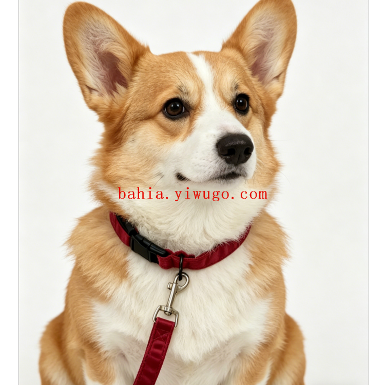 柯基犬宠物牵引绳可爱狗绳宠物用品1.5米