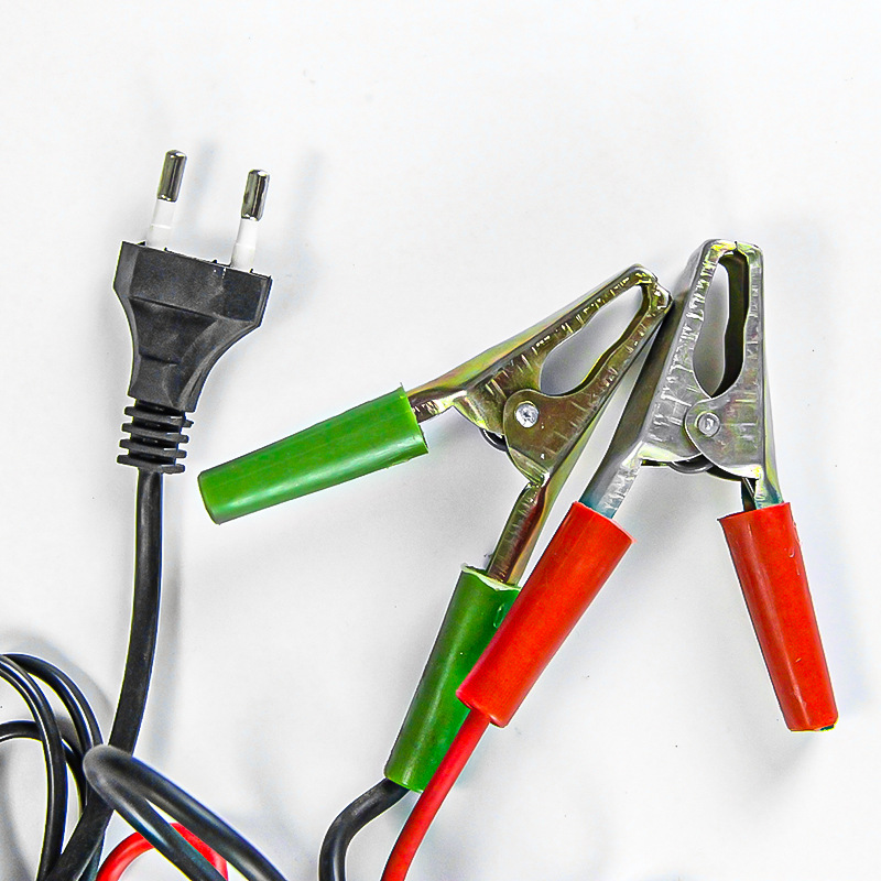 Fully automatic protection fast charger copper coil 12V24v car, truck and motorcycle battery charger Specification image