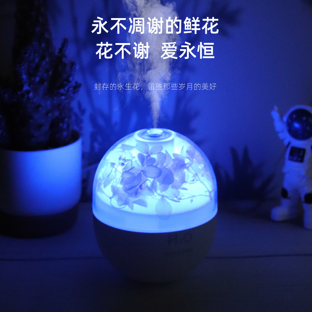 The new Everlasting Flower humidifier is a portable car and home USB water replenishment atomization soft sound night light creative humidifier details Picture