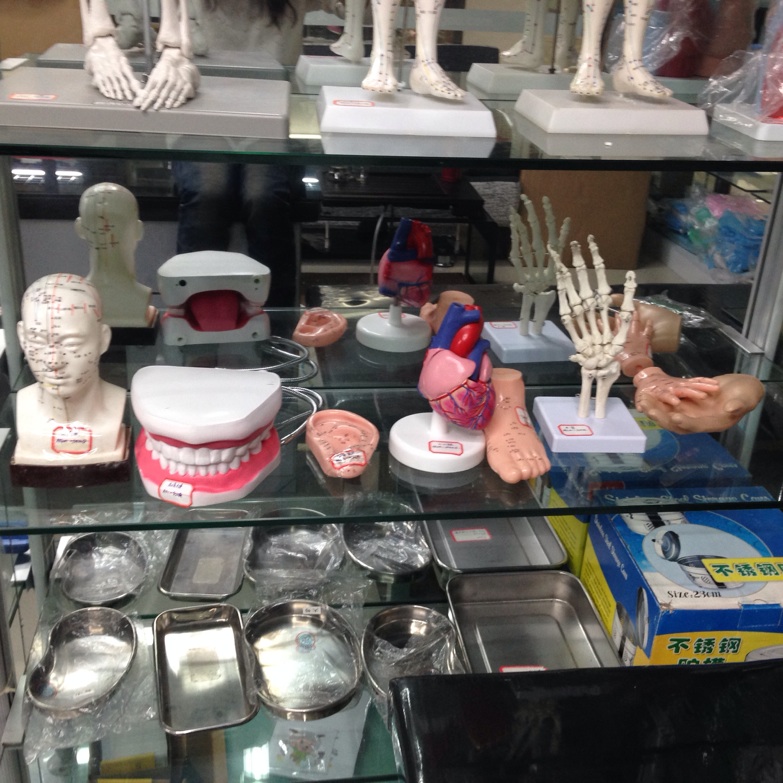 Model simulation of three-dimensional teaching demonstration equipment for human anatomy models in cardiac medicine Specification drawing