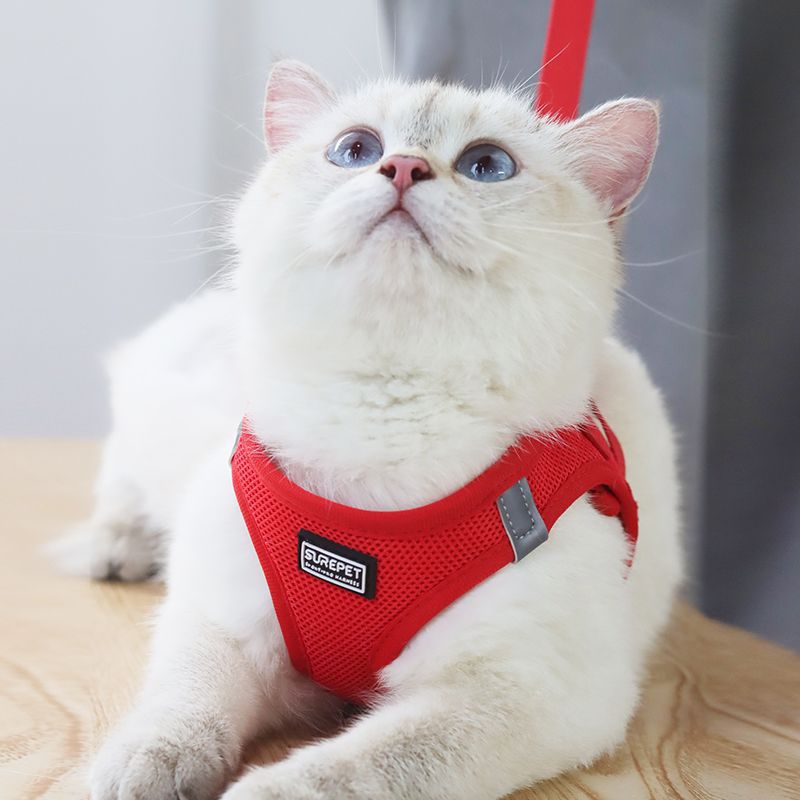 猫咪牵引绳胸背带防挣脱外出专用小型犬泰迪比熊遛狗绳狗链子猫绳