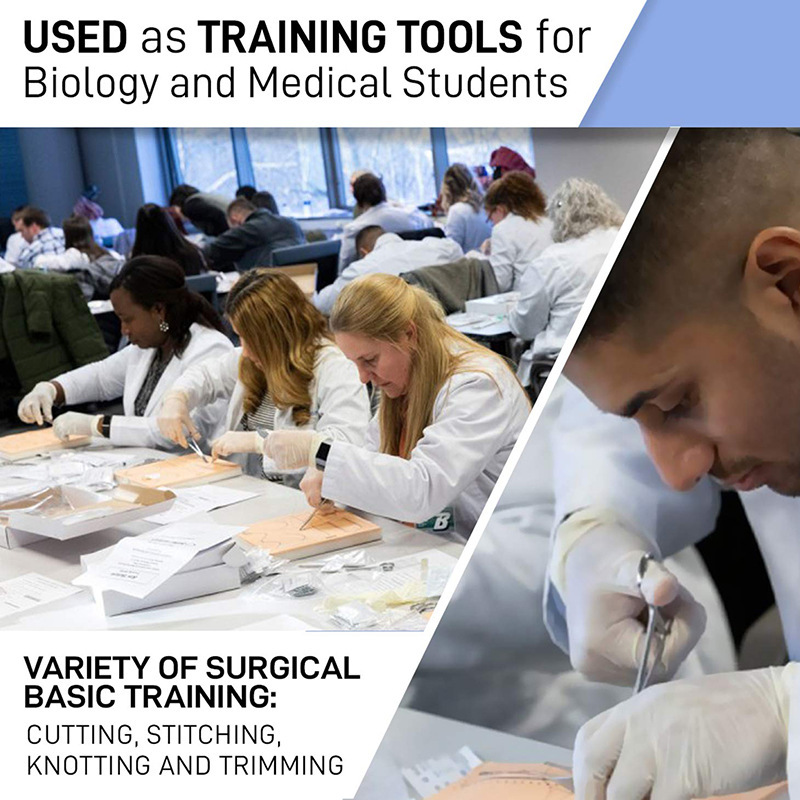 17 biological dissection tools, suturing silicone thread, experimental equipment, stainless steel scissors, tweezers, knife handles for teaching purposes Application Scenario