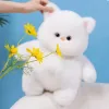 New cross-border plush toy figurines, white cat dolls, cute and soft cat cushions, birthday details Picture