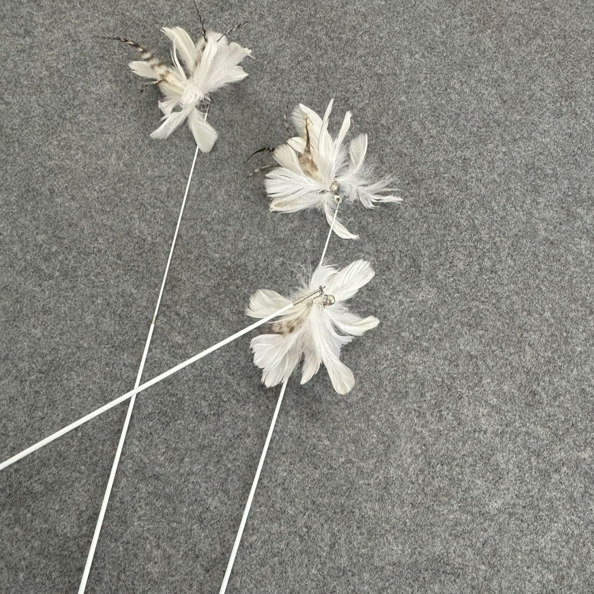 宠物用品/宠物玩具/宠物/逗猫棒/玩具产品图