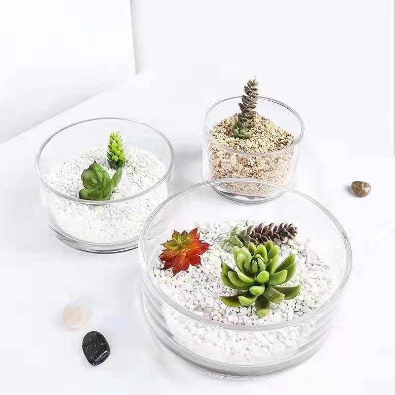 Creative thickened small round glass flowerpot, hydroponic overnight lotus, water lily, pennywort glass vase, glass VAT