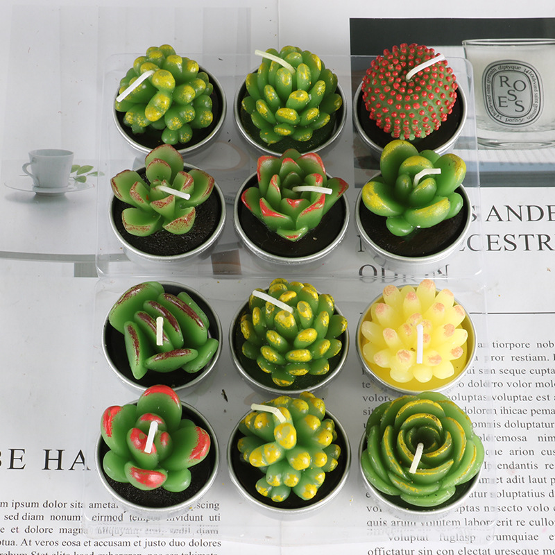Cross-border modern art paraffin core smokeless candle confession, simulated succulent plant paraffin semi-handmade candle set details Picture