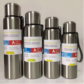 Hot-selling vacuum 304 insulated cup LH161-600ML