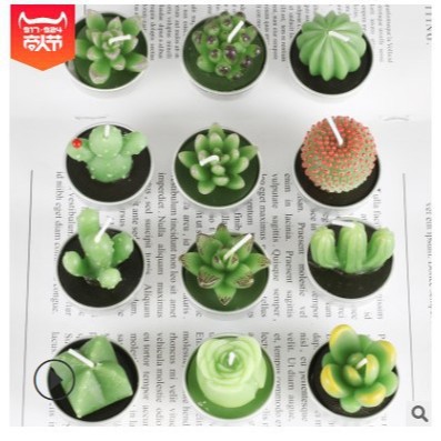 Cross-border modern art paraffin core smokeless candle confession, simulated succulent plant paraffin semi-handmade candle set Item Picture