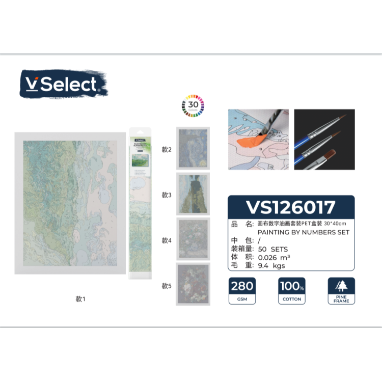 VSelect PET 盒装画布数字油画 无框 DIY 手绘填色套装