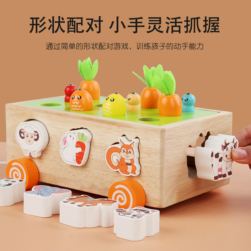 3跨境儿童益智玩具农场果园形状积木配对抓虫拔萝卜智力盒玩具