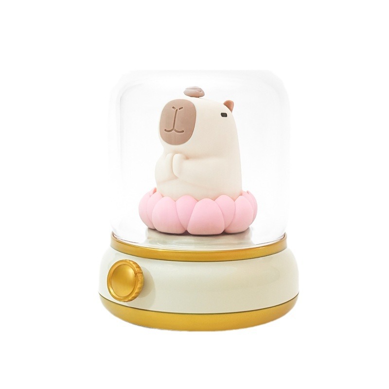 Good Luck Lotus Water Dolphin Lamp, creative USB charging, timed night light, led children's bedroom bedside ambient light Application Scenario