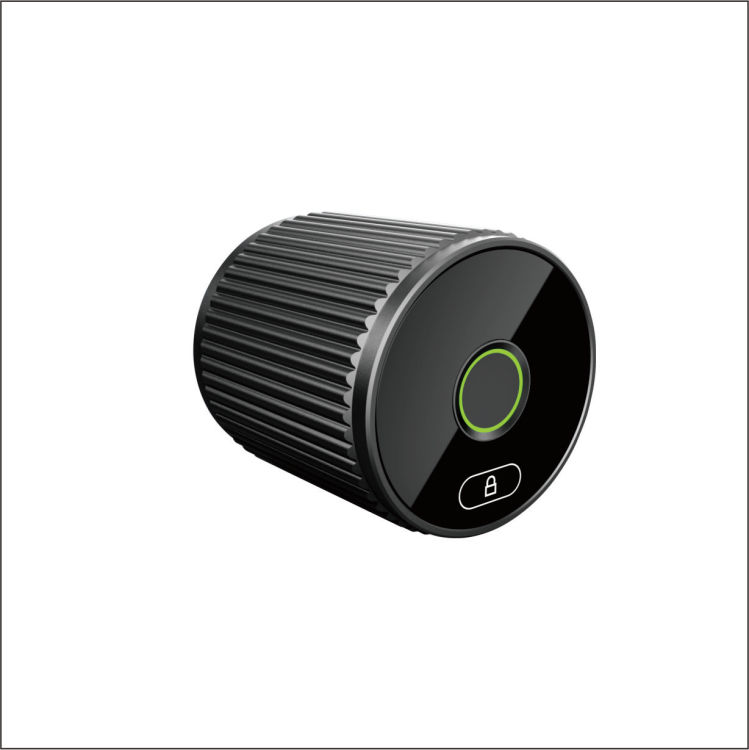 Tuya Tongtong Smart Lock, home fingerprint Ball Lock, Electronic lock, indoor spherical smart fingerprint password lock