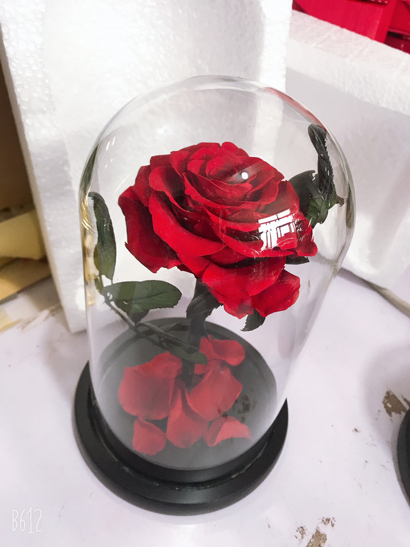 永生花小王子母亲节情人节520创意礼物成品批发玻璃罩家居摆件