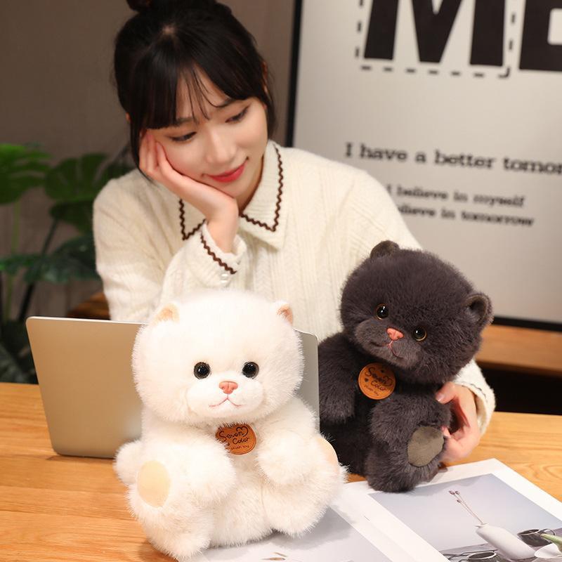 Cute and lazy kitten dolls, simulated cat plush toys, children's soothing cloth dolls, cloth dolls for girls wholesale Specification image