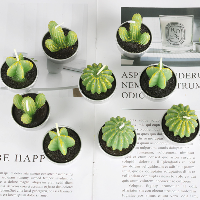 Amazon's new craft smokeless candle, a simulation of succulent plants and cactus candles, is available for wholesale from the manufacturer details Picture