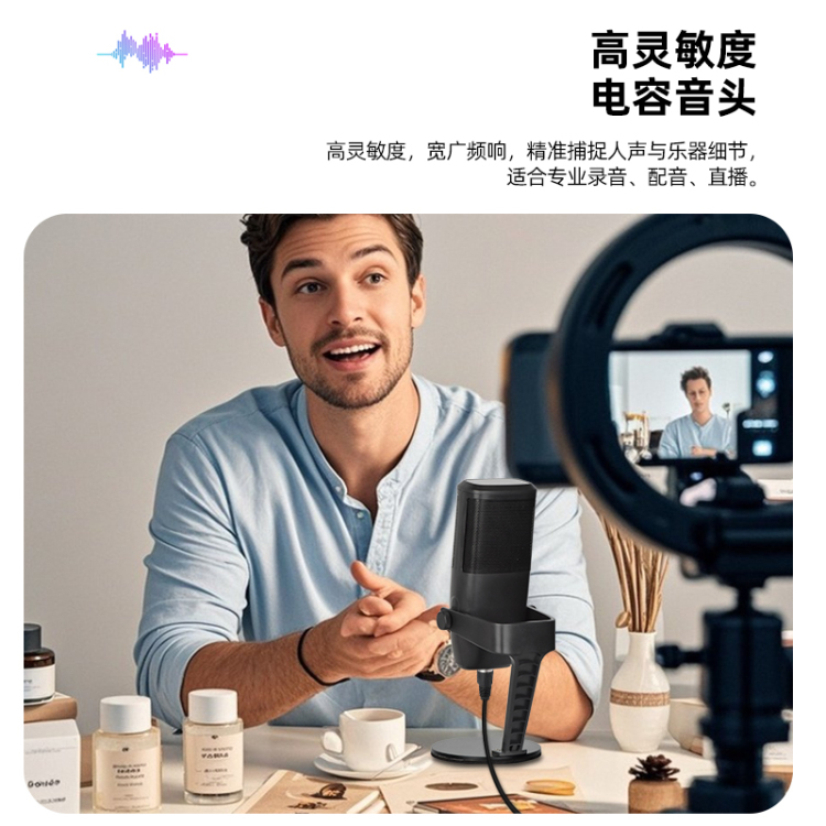 Microphone, computer microphone, live karaoke recording, condenser microphone, mobile phone, karaoke for all, karaoke game Application Scenario