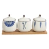 Square ceramic seasoning jar, kitchenware, high-temperature resistant seasoning box, household condiment jar combination set Application Scenario