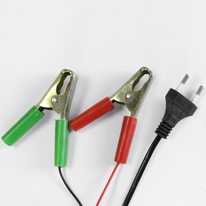 Car battery charger 12v24v motorcycle automatic repair battery charger Specification image