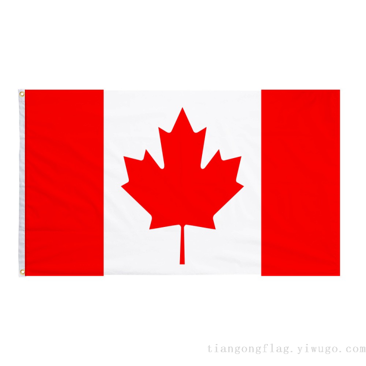 Wholesale and retail prices of flags from all over the world waving flags for the 2026 World Cup in the United States, Canada and Mexico Application Scenario
