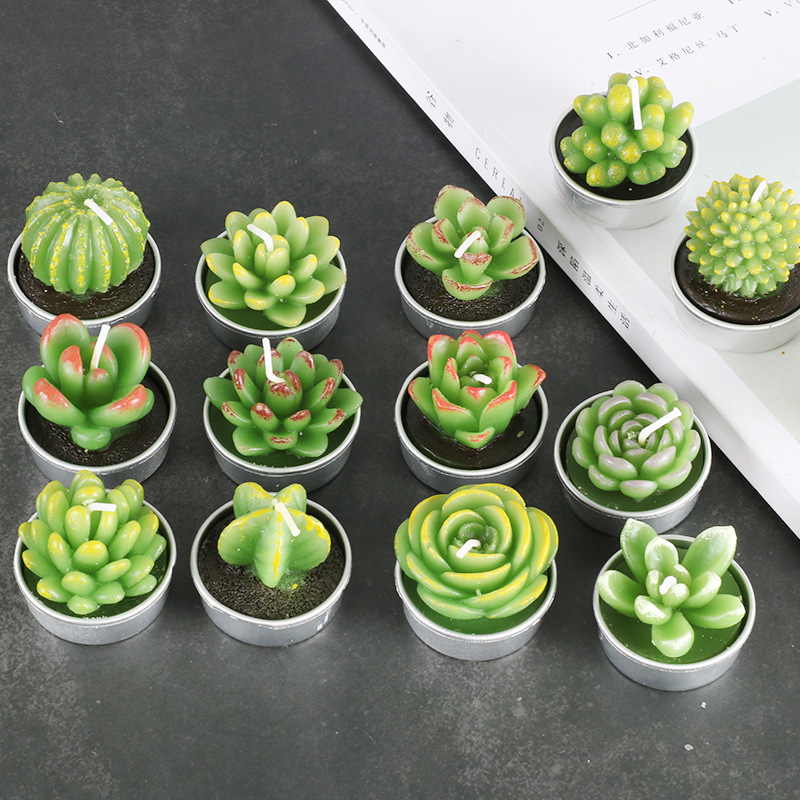 A new cross-border simulation of succulent plant candles, rose candles, 44 product combinations, and special-shaped paraffin candles Specification drawing