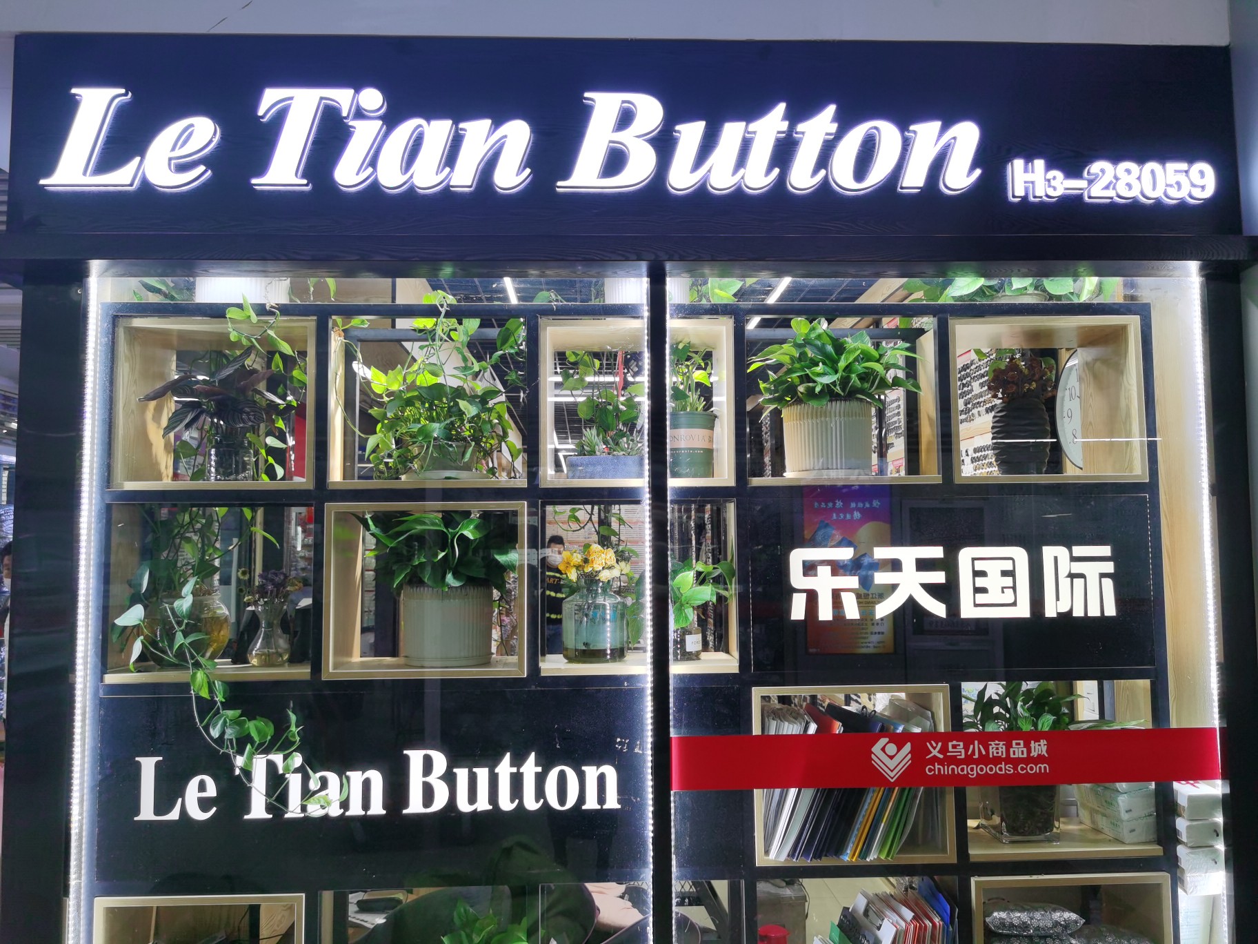 Zhu Meilan describe pic - 6