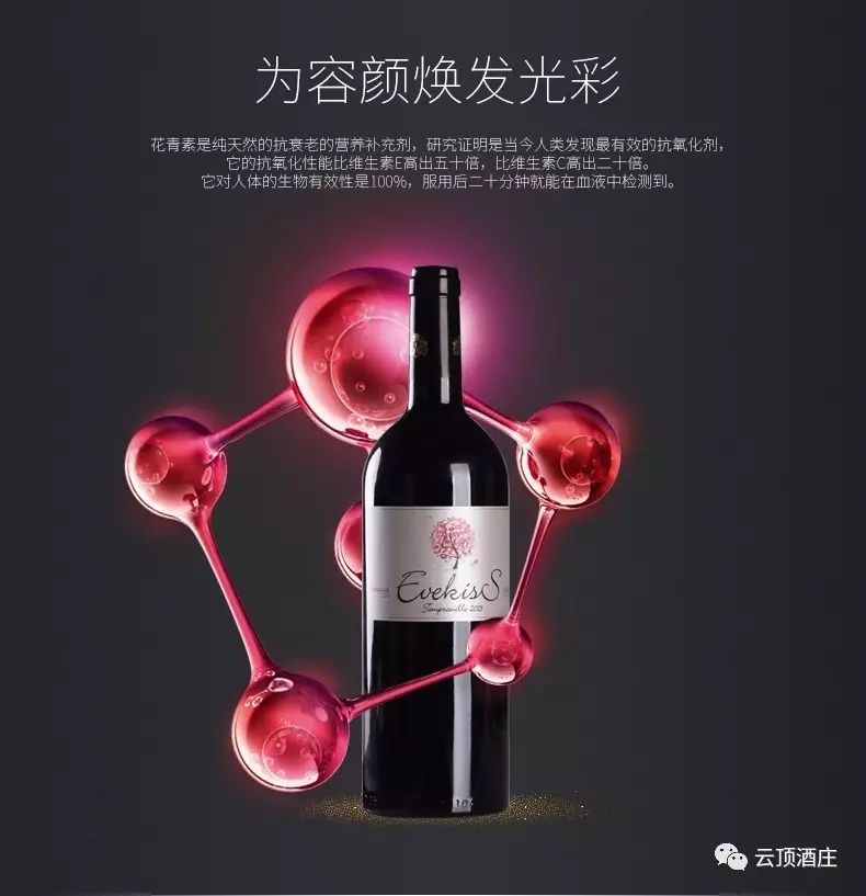 EVEKISS Dry Red wine from Spain Specification image