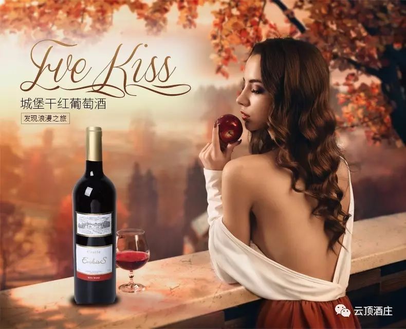 Eve's Kiss Castle Dry Red Wine, a Spanish imported red wine Application Scenario