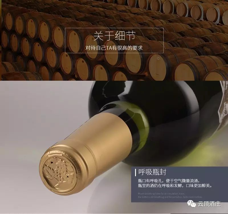 Spanish imported Eve's Kiss Flower dry White wine Application Scenario