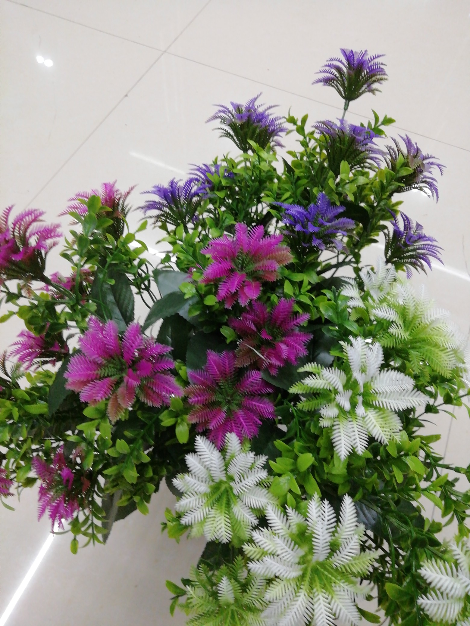 Yongming Flower Leaf produces and sells 12 heads of multi-colored aquatic plants