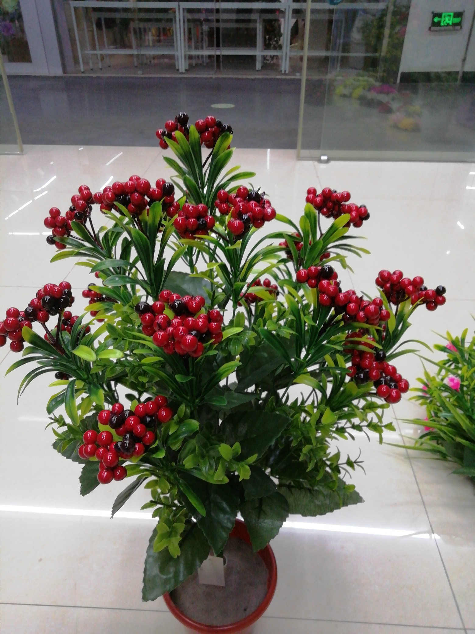 Yongming Flower Leaf produces and sells 18 foam water plants with red fruits