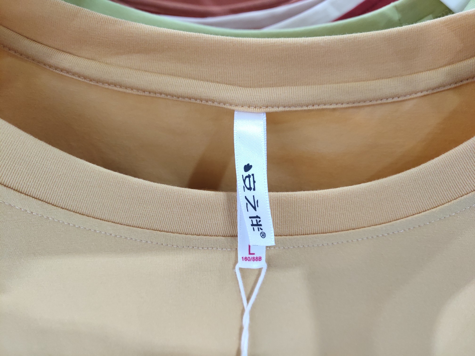 纯棉弹力针织素色六分袖女套装白底实物图