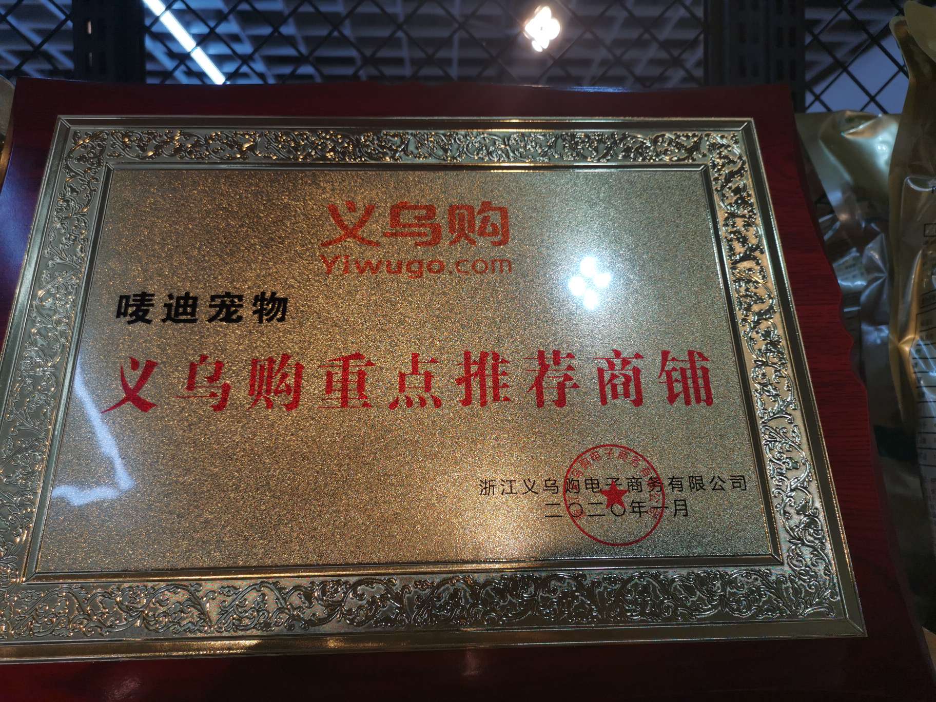 Madi Pet qualification pic - 1