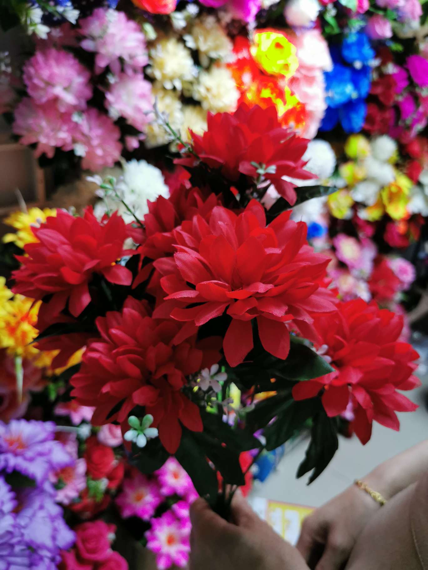 菊花