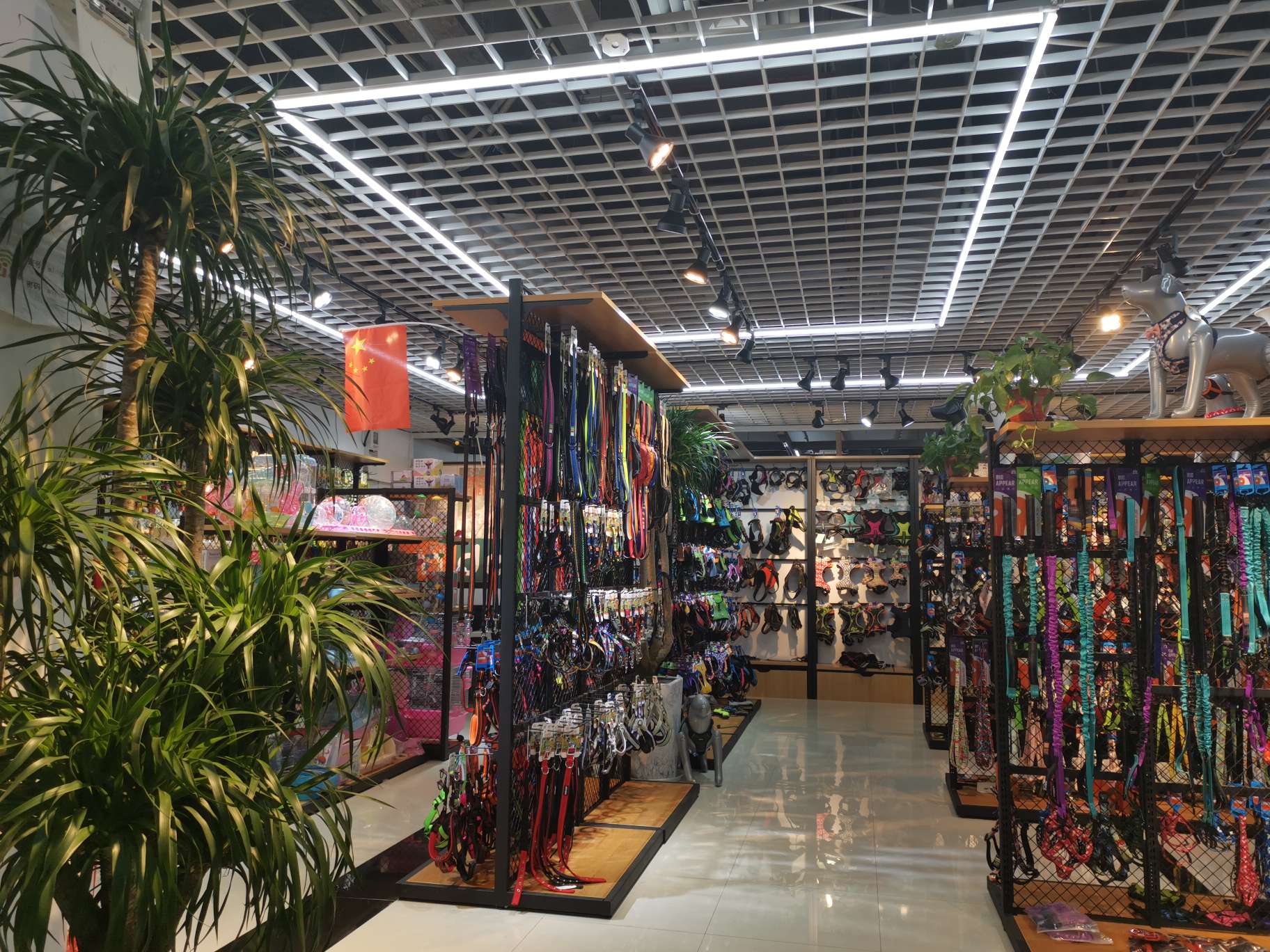 Madi Pet describe pic - 4