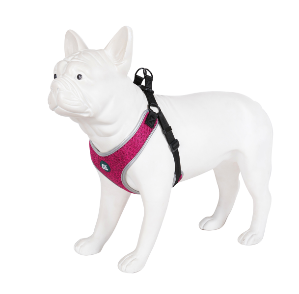 Pet chest and back Specification image