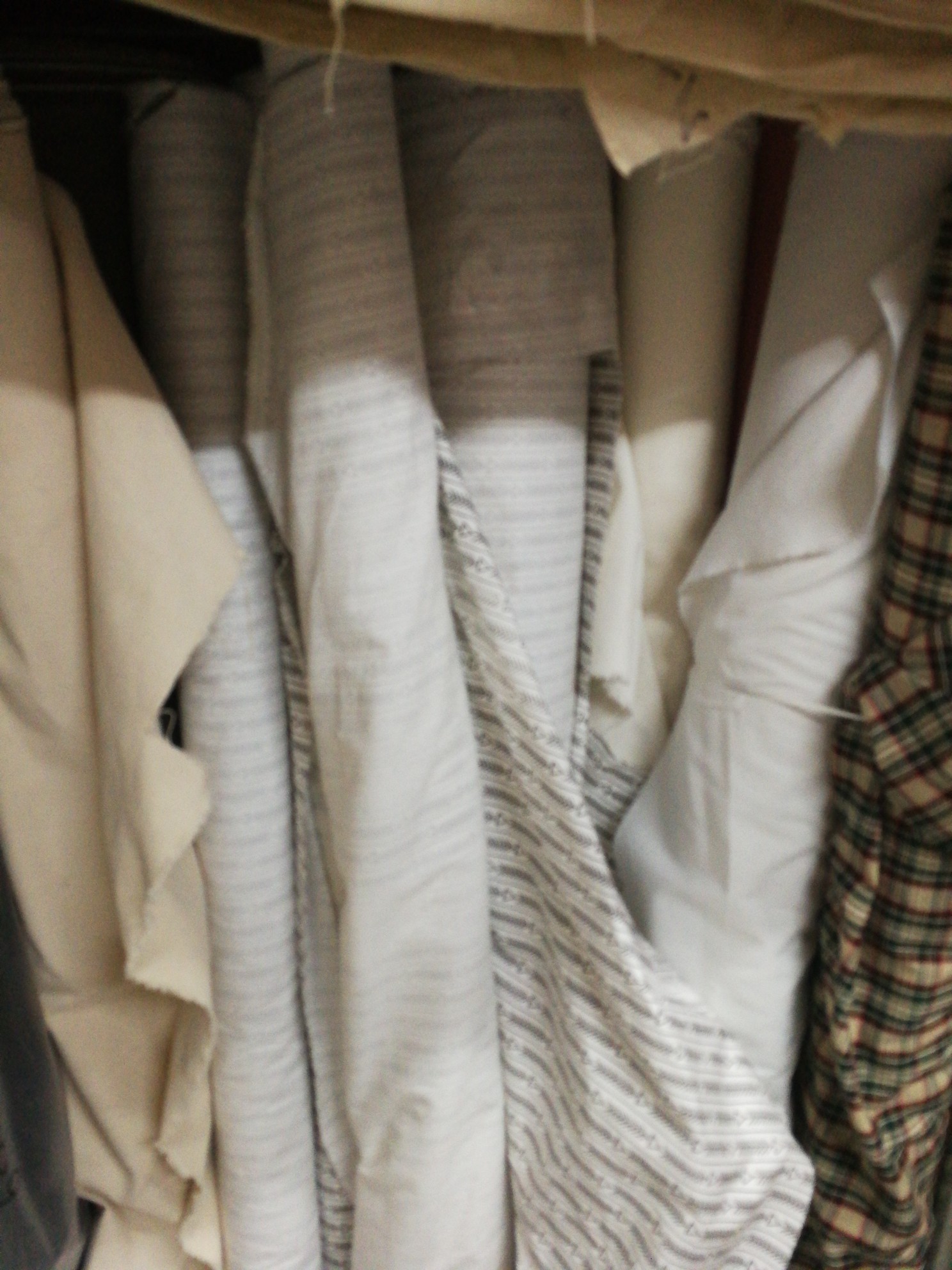 Cloth