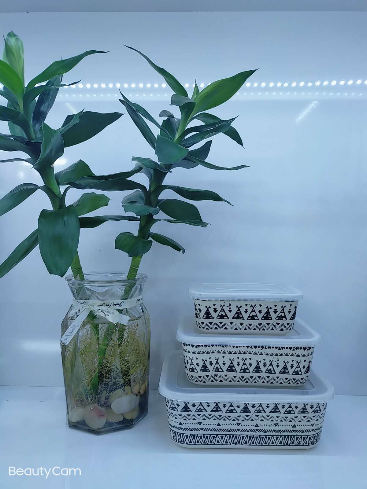 竹纤维保鲜盒
