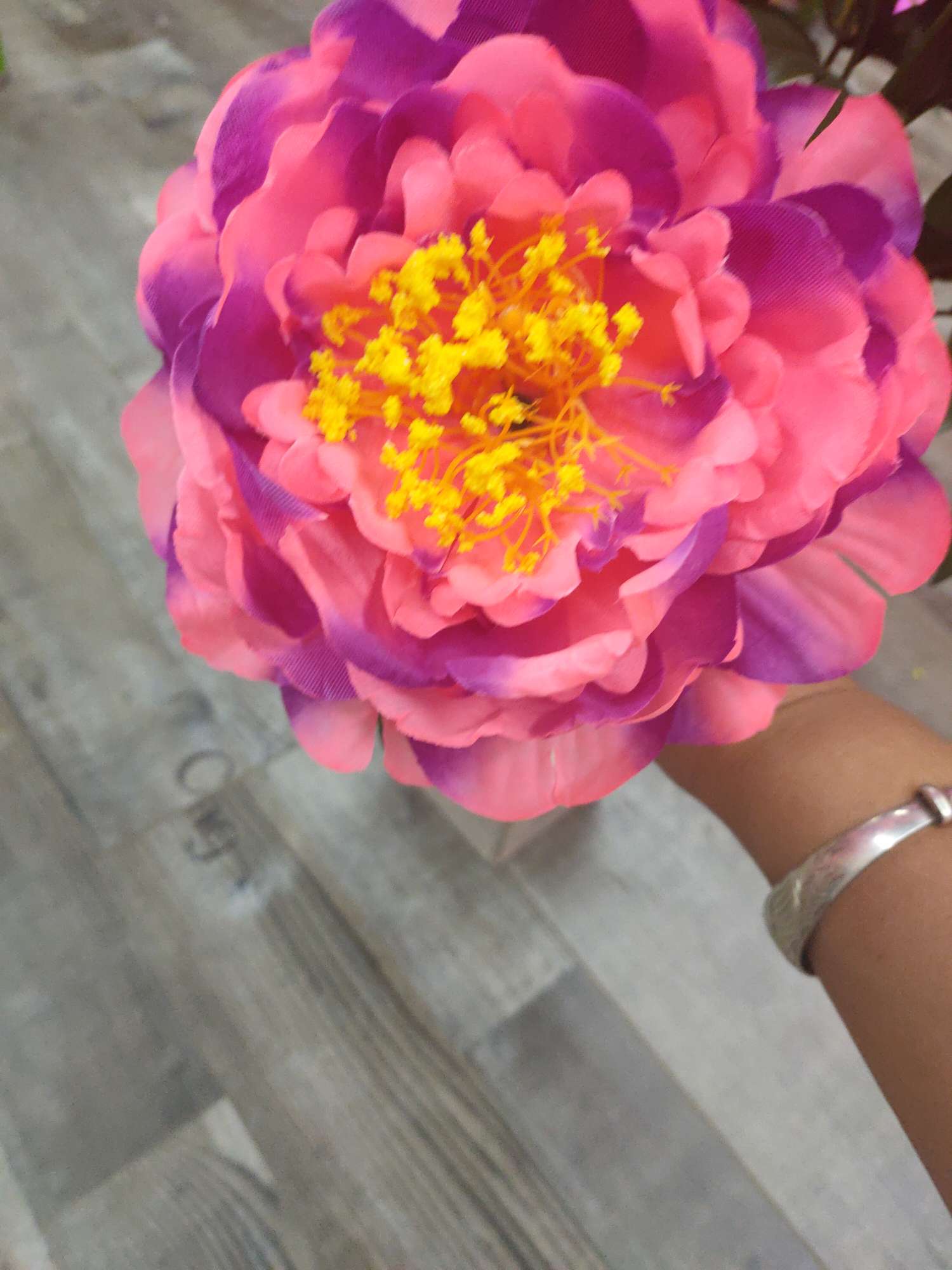 Seven peonies details Picture