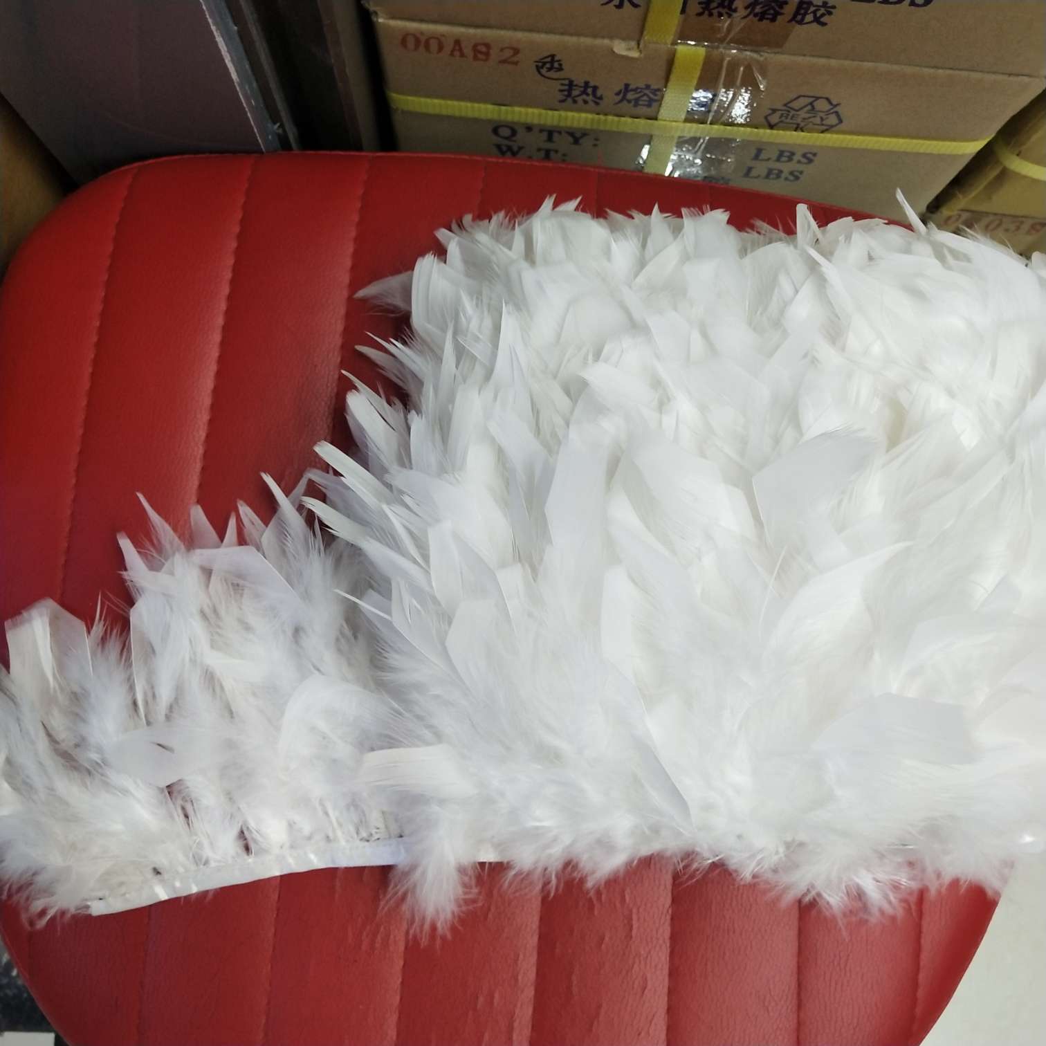 羽毛、羽绒实物图